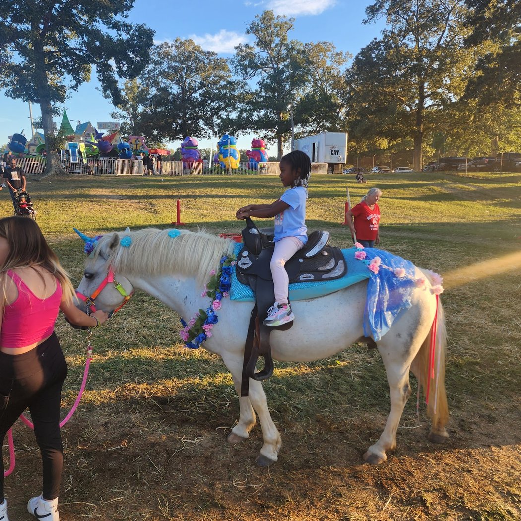 Charles County Fair 3