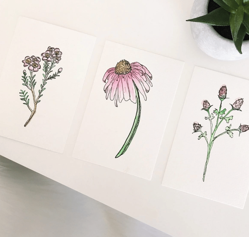 Watercolor Workshop: Wildflowers 3