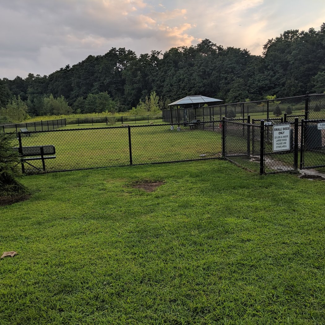 Dennis Brian Murray Dog Park 2