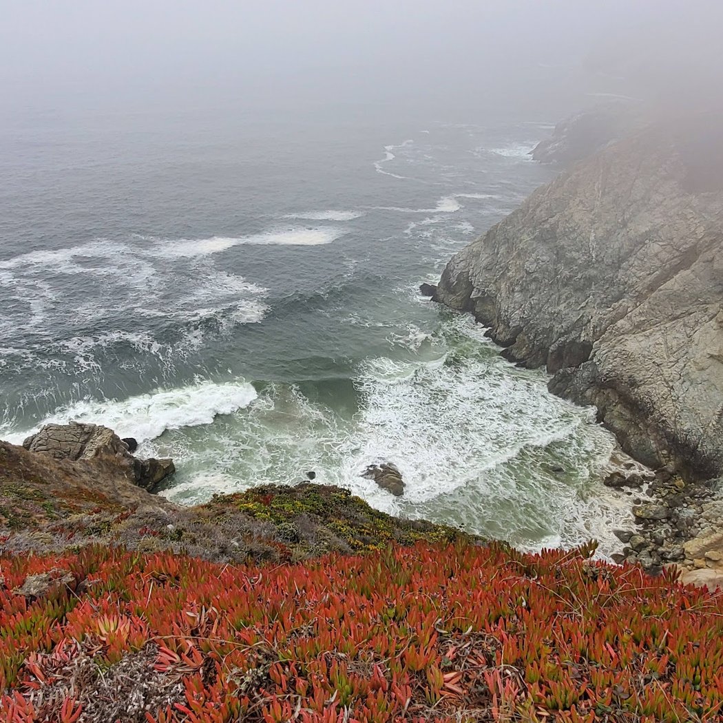 Gray Whale Cove 3