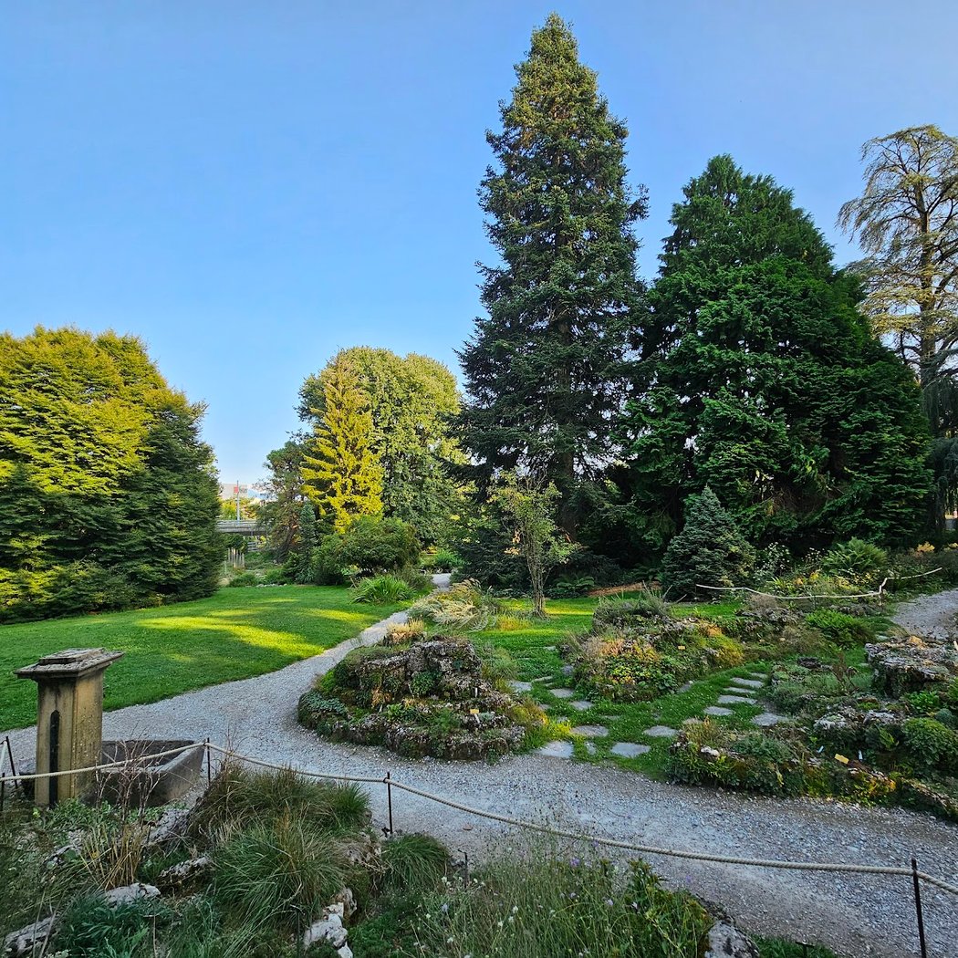 Jardin botanique alpin de Meyrin 1
