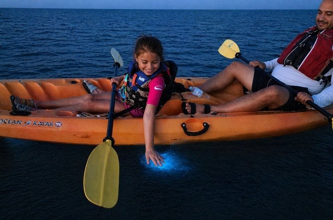 Magic After Dark Bioluminescence Kayak Tour 3