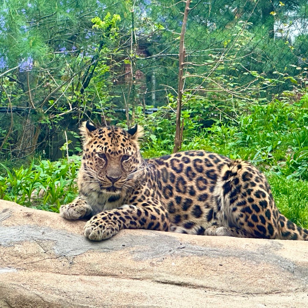 Staten Island Zoo 1