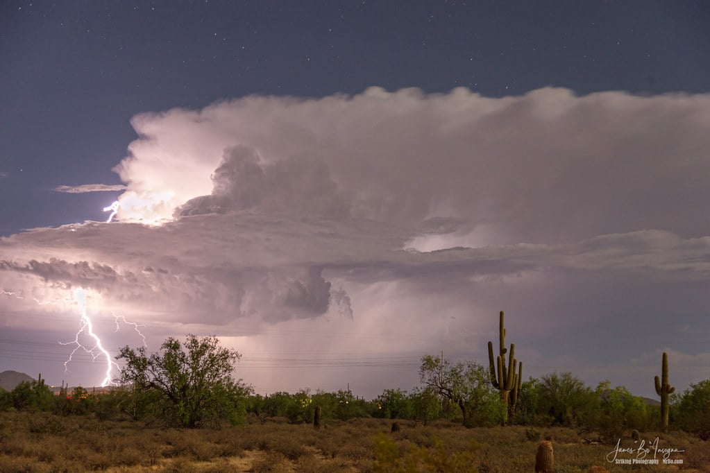 Monsoon Magic 1