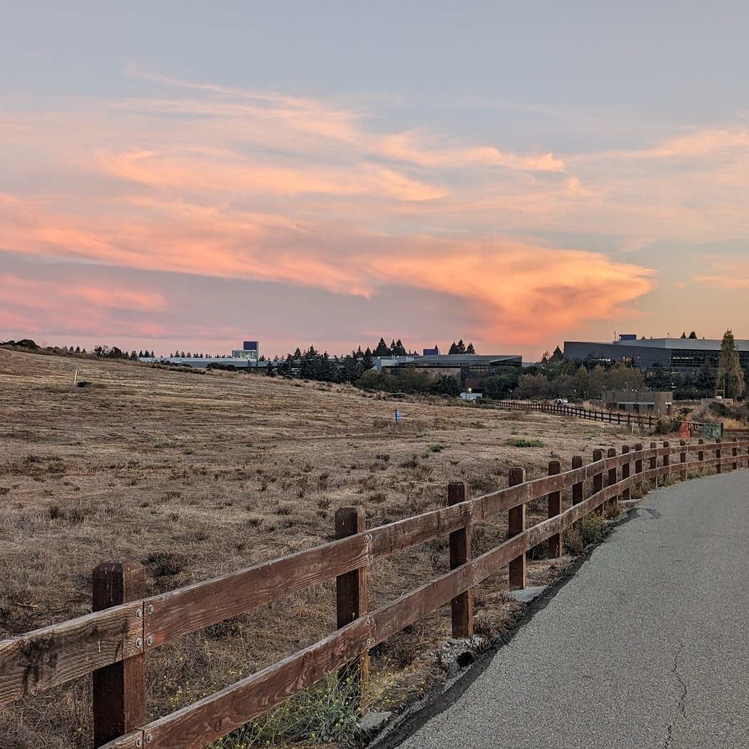 Vista Slope At Shoreline Park 1