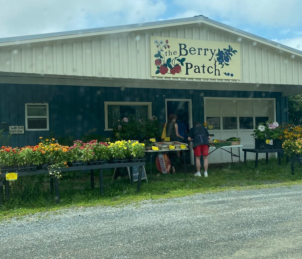 Berry Patch 2