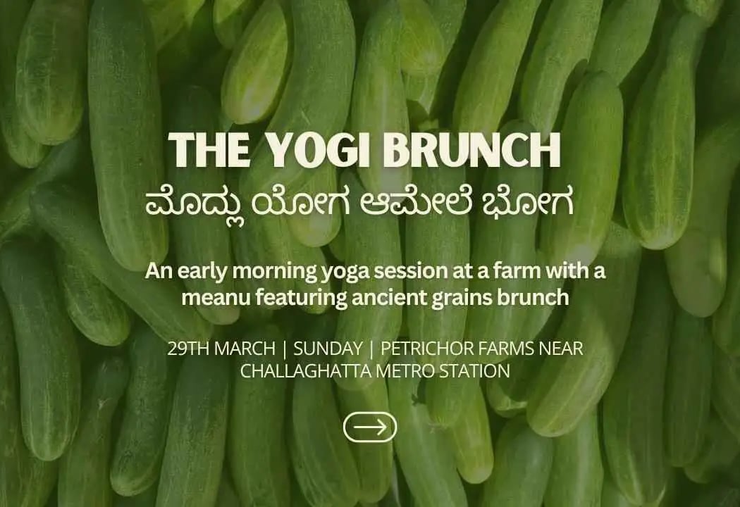 The Yogi Brunch 1