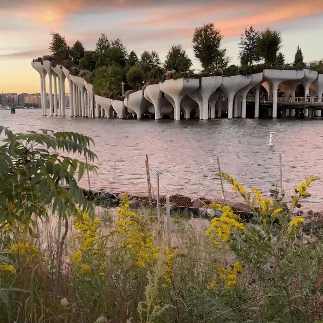 Shoreline Strolls: Jane's Walk 1
