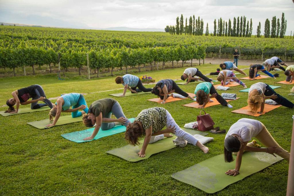 Yoga on the Lawn 1