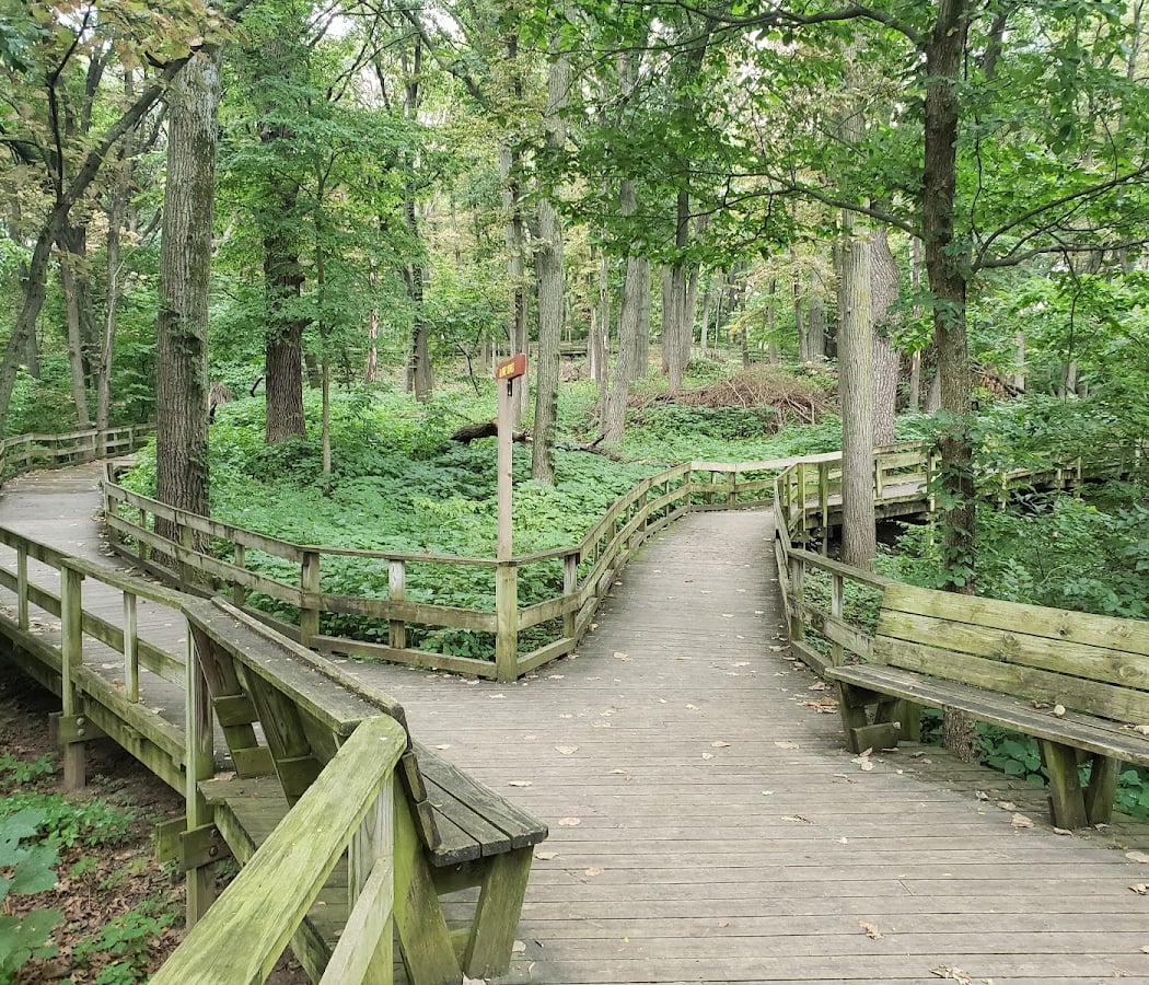 Boardwalk Trail Walk 1