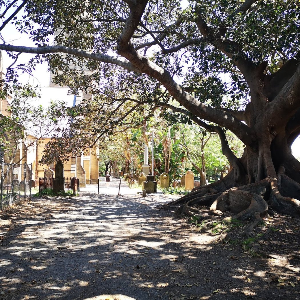 Camperdown Memorial Rest Park 1