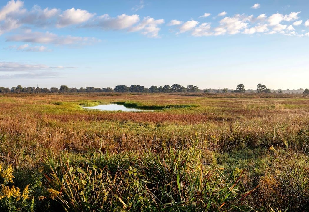 Indiangrass Preserve 1
