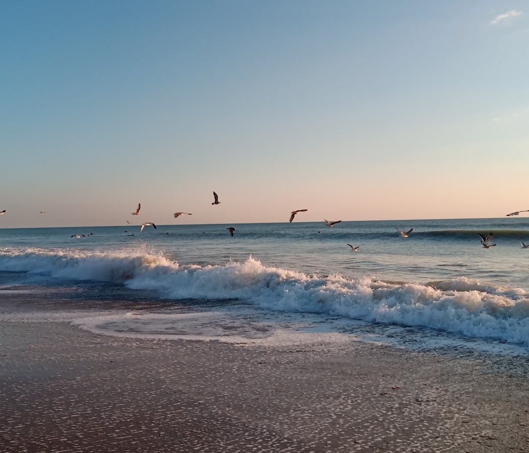 Plage des Dunes 3