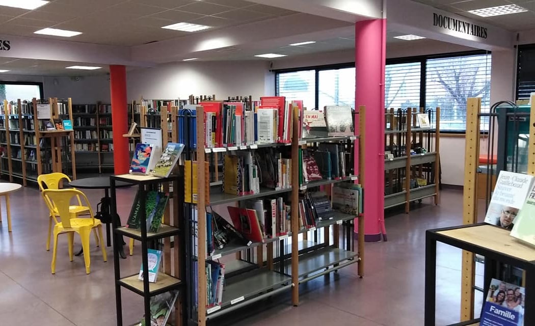 L'Expression Plurielle Library 1