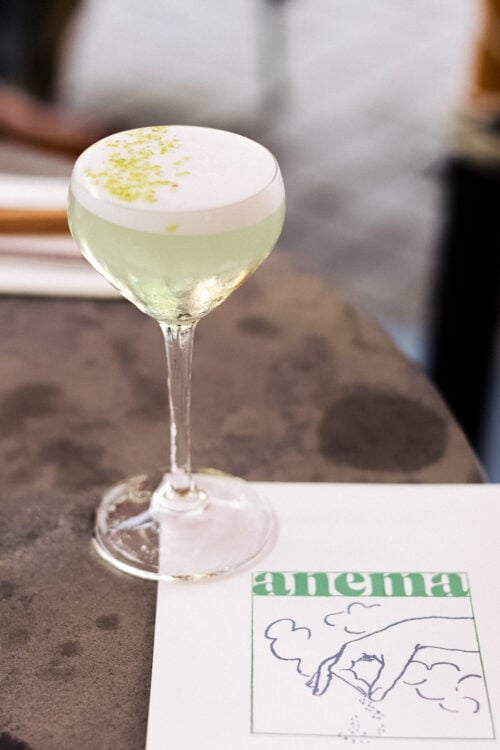 ANEMA Biarritz 2
