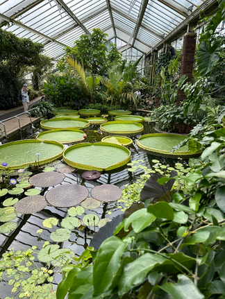 Princess of Wales Conservatory 3