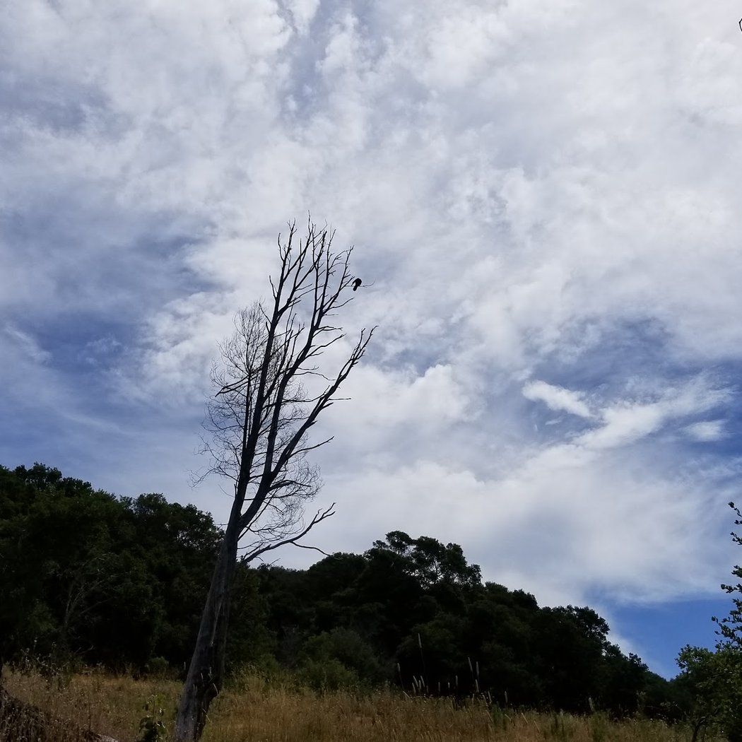 Crystal Springs Trail 2