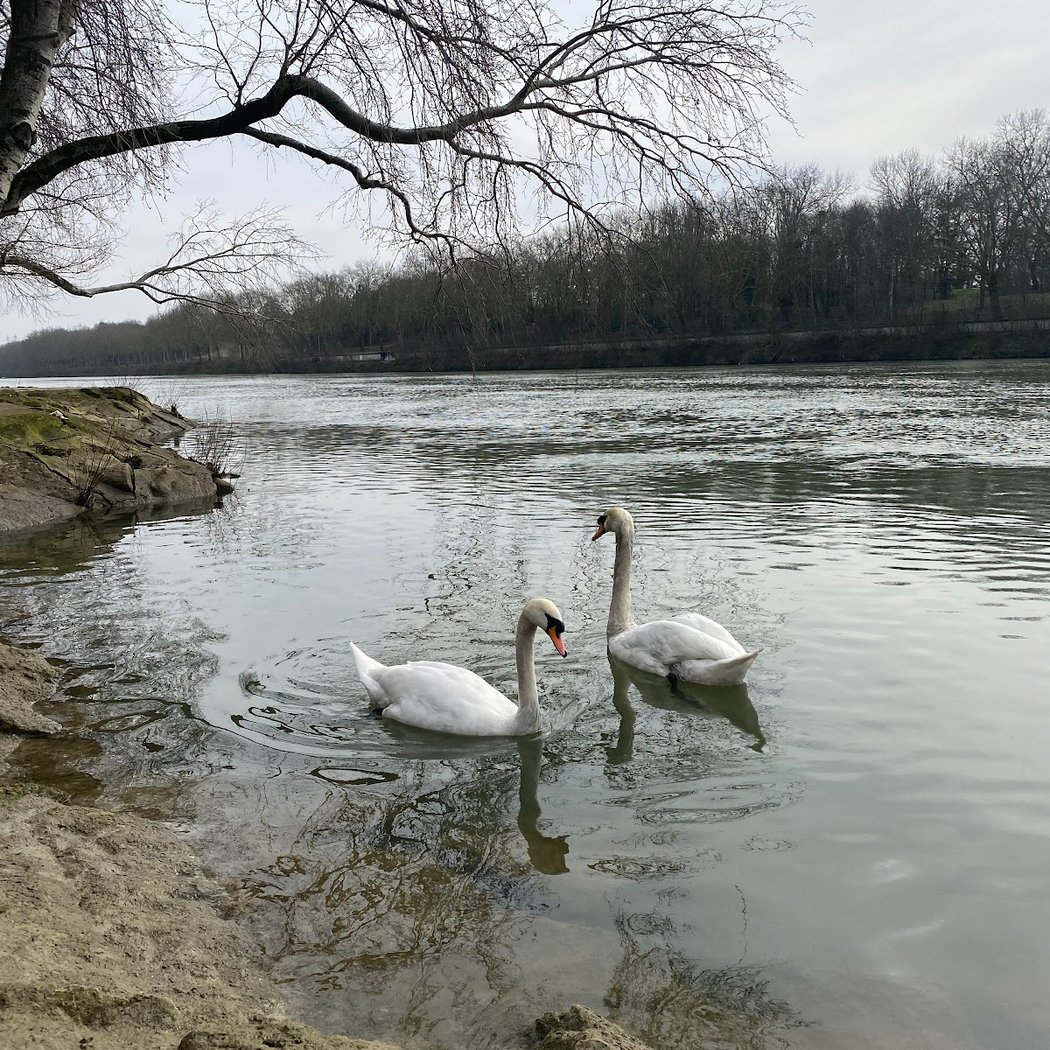 Chemin de Halage - Épinay-sur-Seine 1