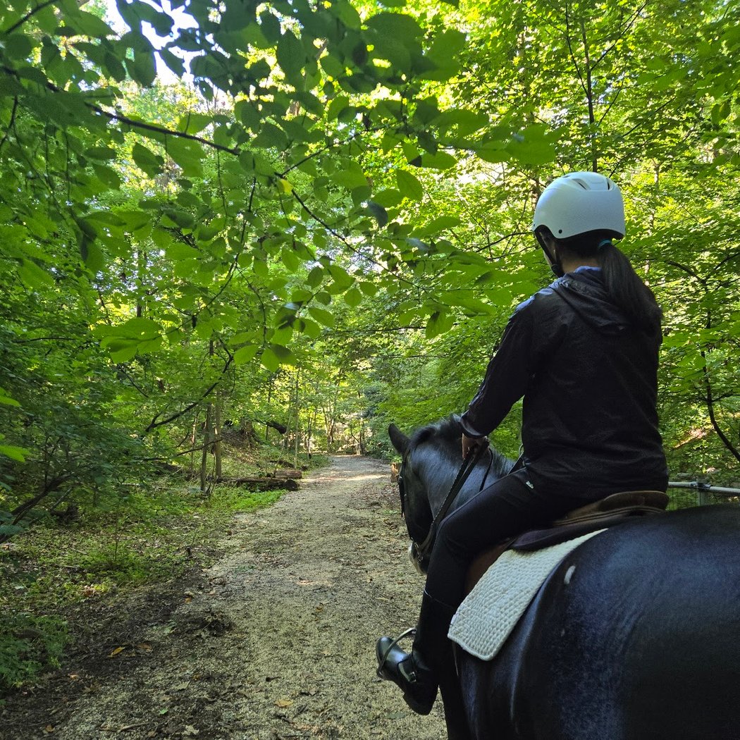 Be • Brooklyn Equine Horseback Riding 1