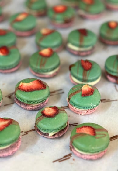 Mastering French Macarons Baking Class 1