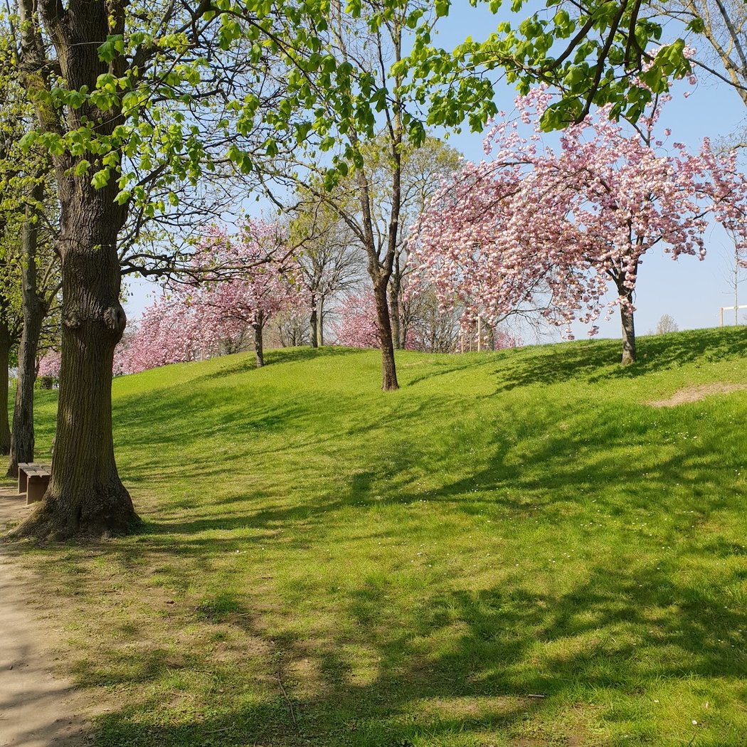 Parc départemental Petit-le-Roy 1