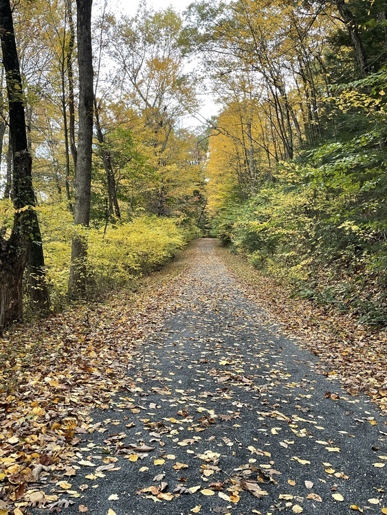 Sunrise Trail Biking 1