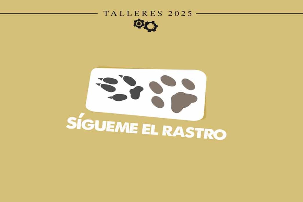 ¡Sígueme el rastro! 1