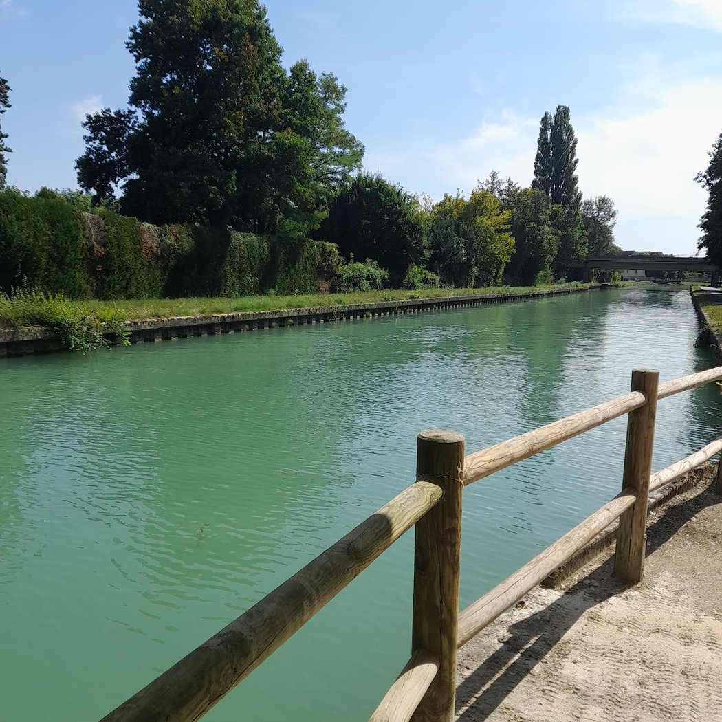 Canal du Loing 4
