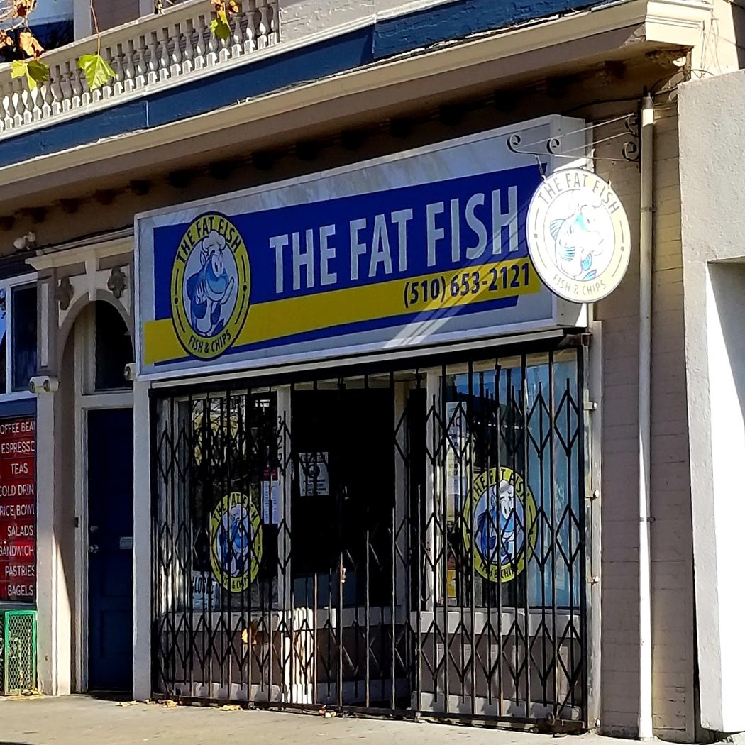 The Fat Fish 3