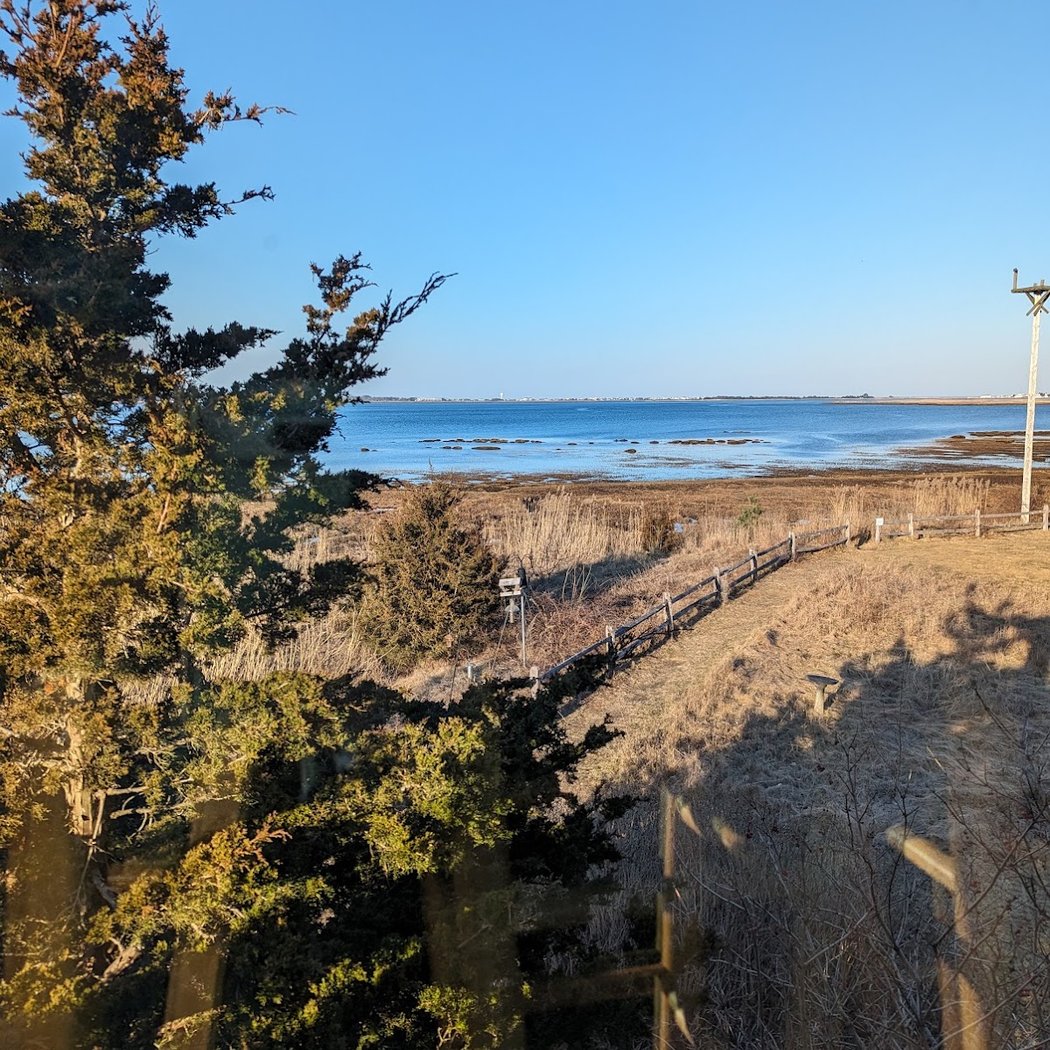 Friday Morning Birding 3