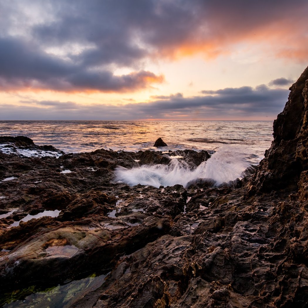 Bluff Cove Trail 3