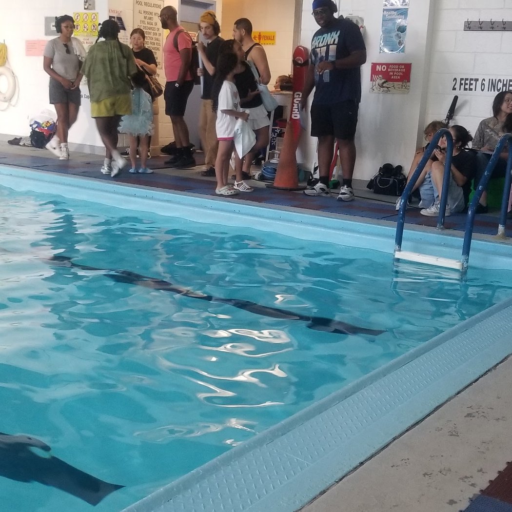Village East Swim Club 2