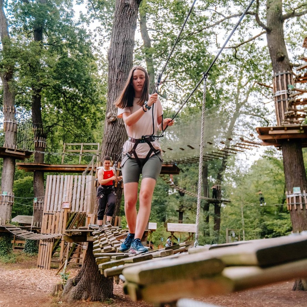 AccroCamp Rueil-Malmaison Tree Climbing Adventure 1