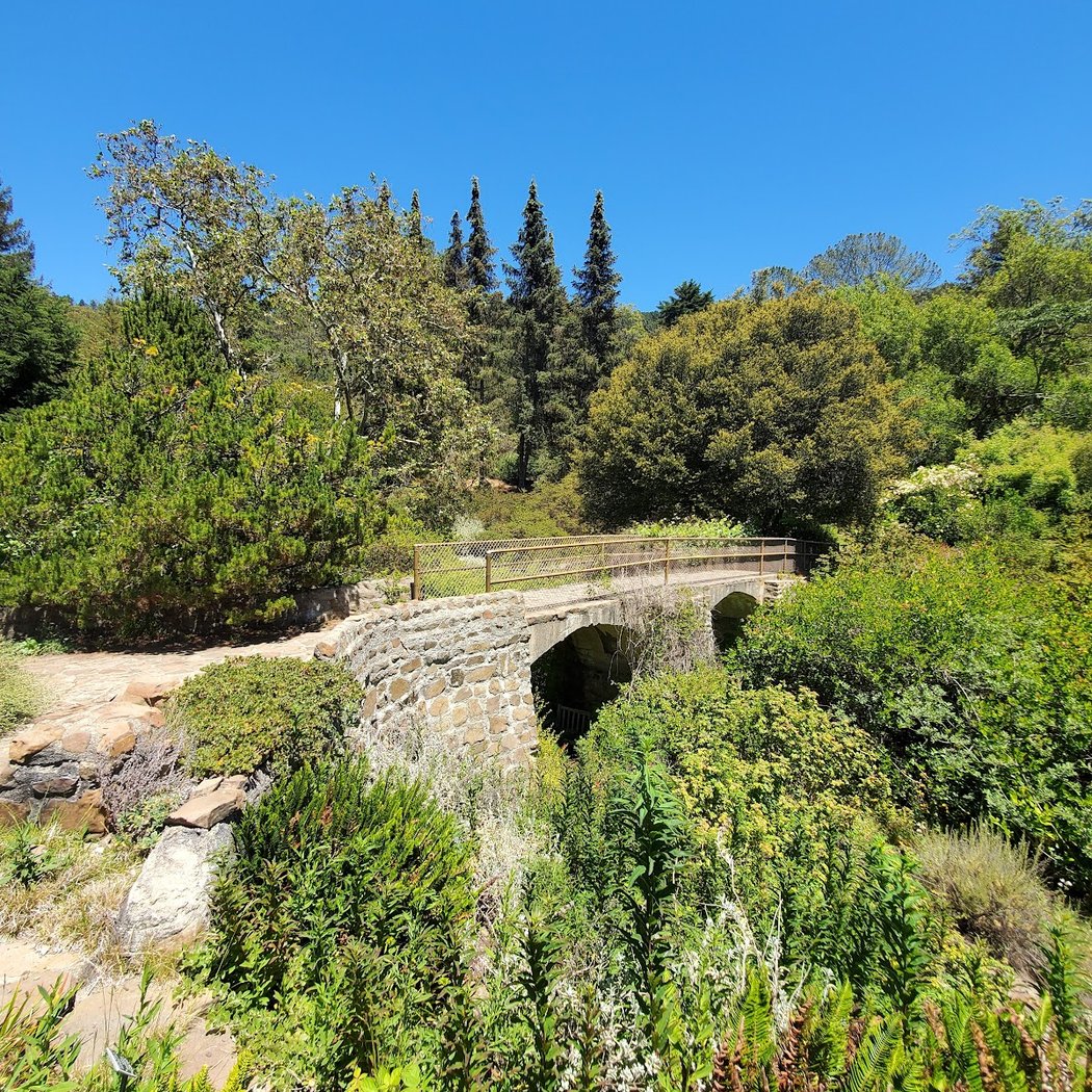 Docent-led tour of Tilden Regional Parks Botanic Garden 1