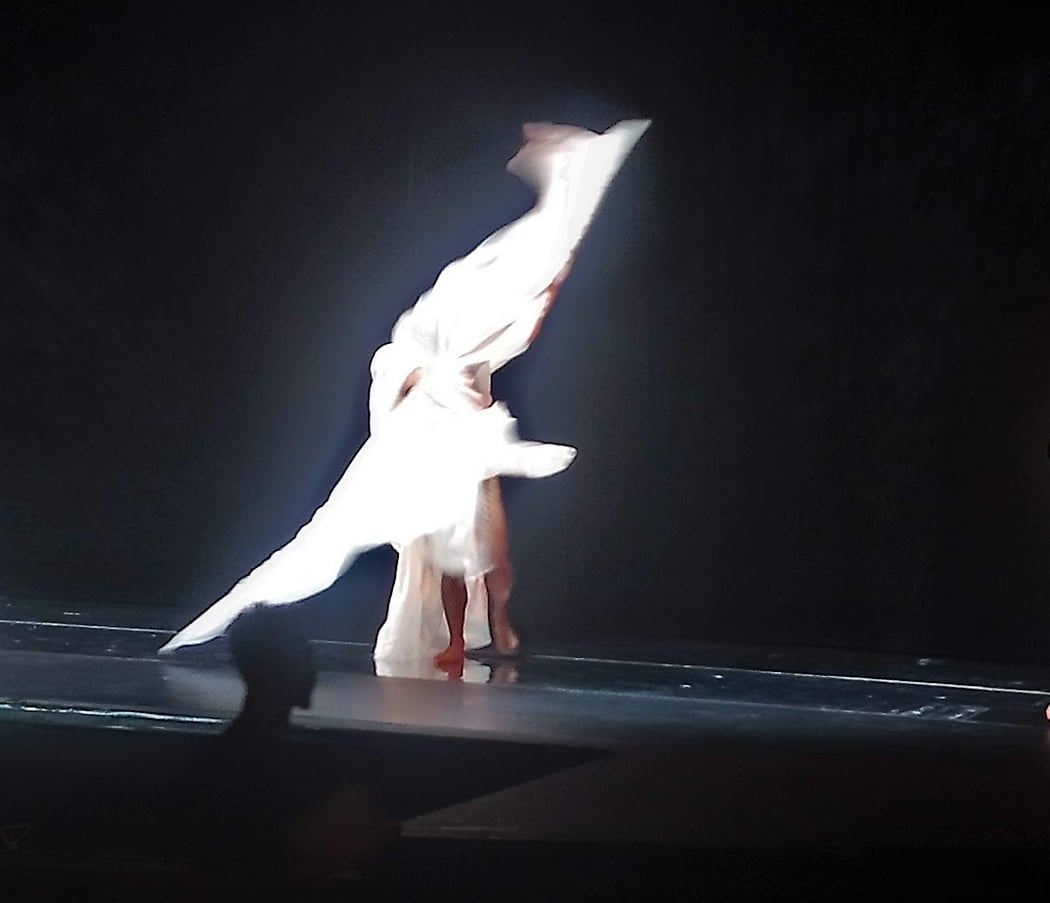 Spring Program by Ballet de l’Opéra de Lyon 1