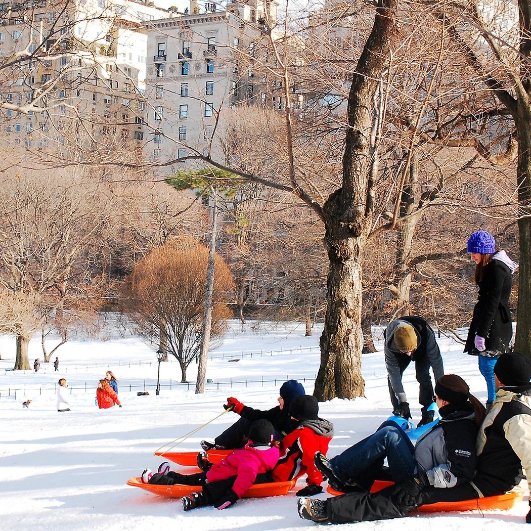 Sledding Hill 1