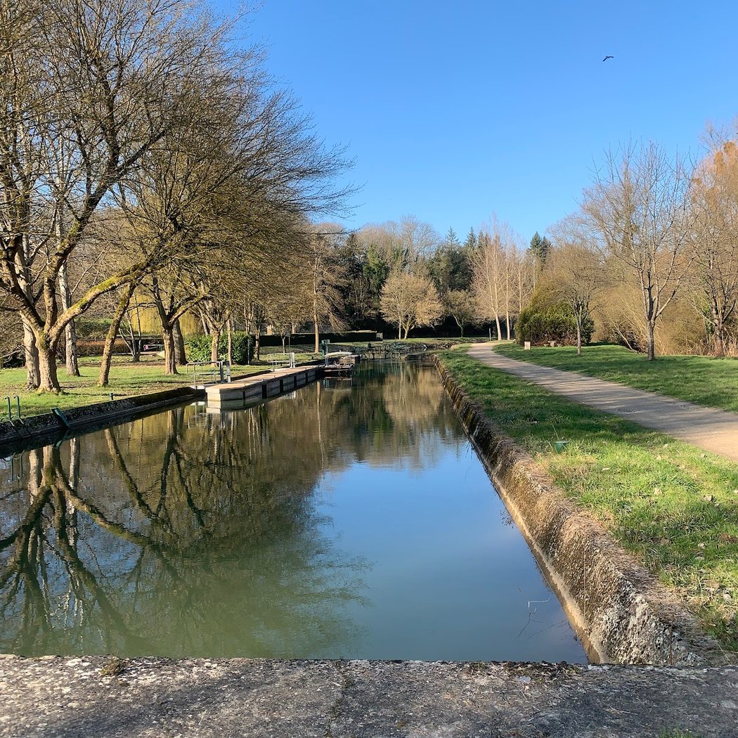 Sortie nature : à la découverte d’un marais exceptionnel 5