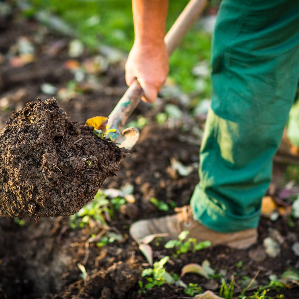 Essential Skills for Sustainable Landscape Care, Session 1 — Site Analysis & Plant Selection 1