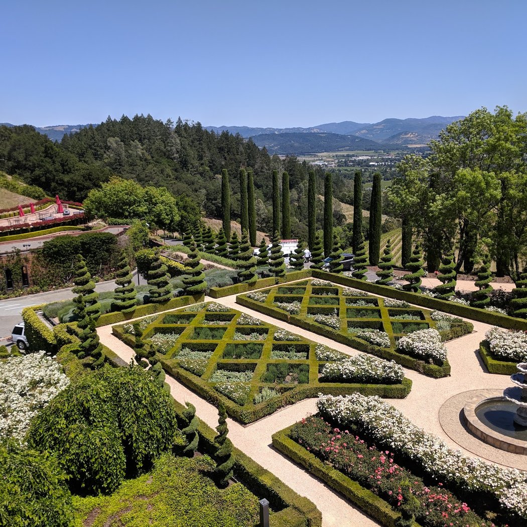 Newton Vineyard 2