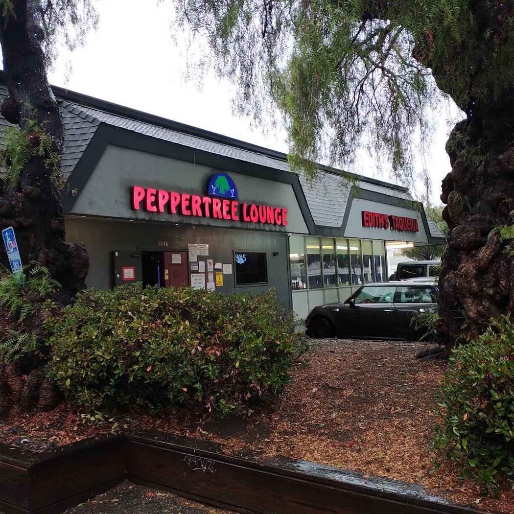 Pepper Tree Lounge 2