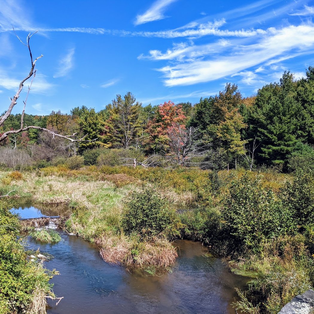 Catskill Scenic Trail 1