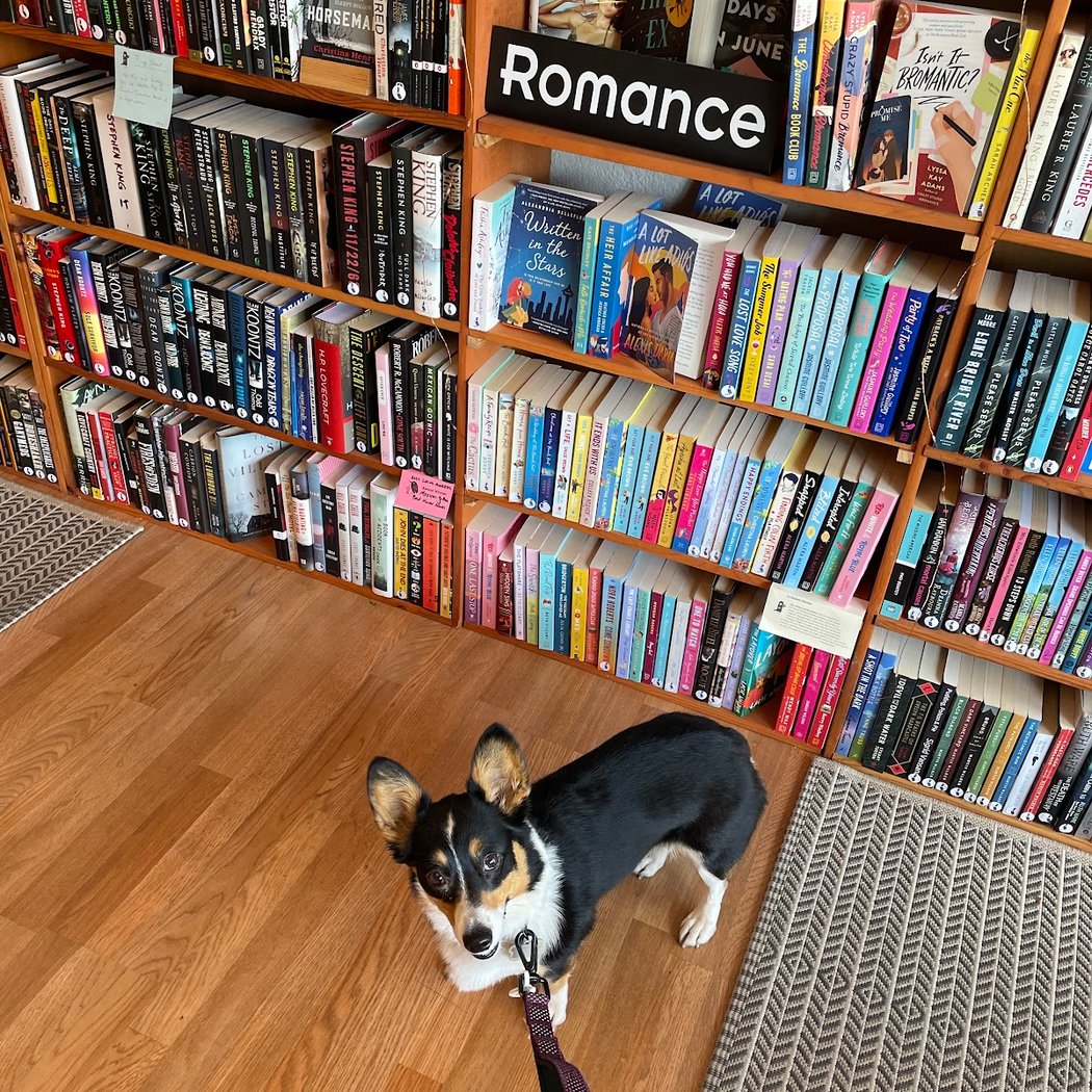 Two Birds Books 3