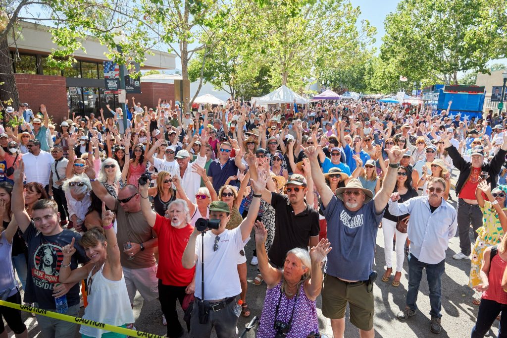 Novato Art Wine & Music Festival 2026