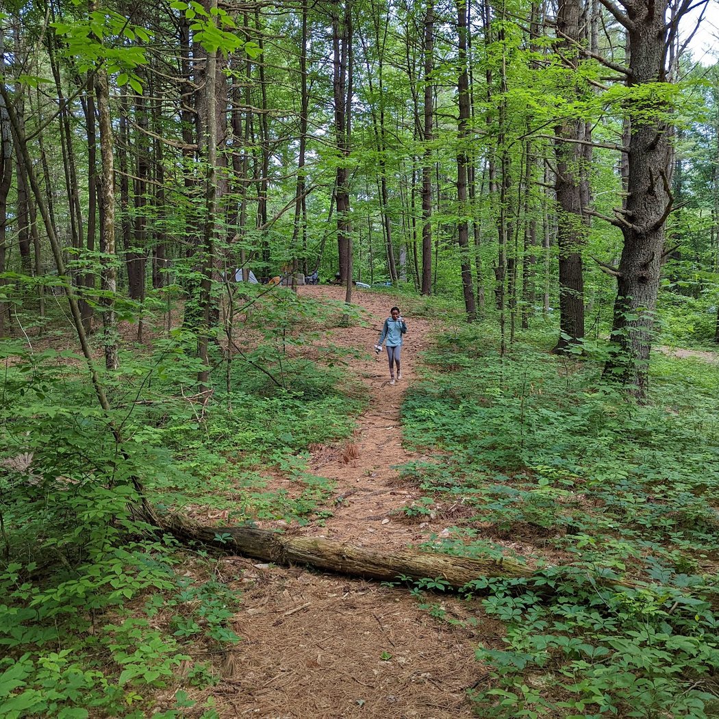 Hudson Valley Triathlon Club Summer Tri Series #3 3