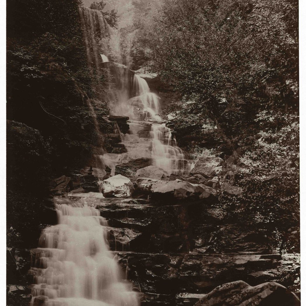 Alice Austen and the Natural World 1