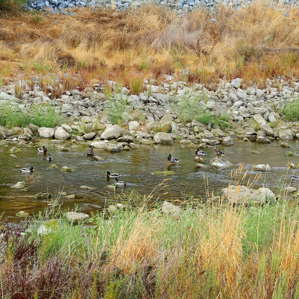 Niles Staging Area | Alameda Creek 3