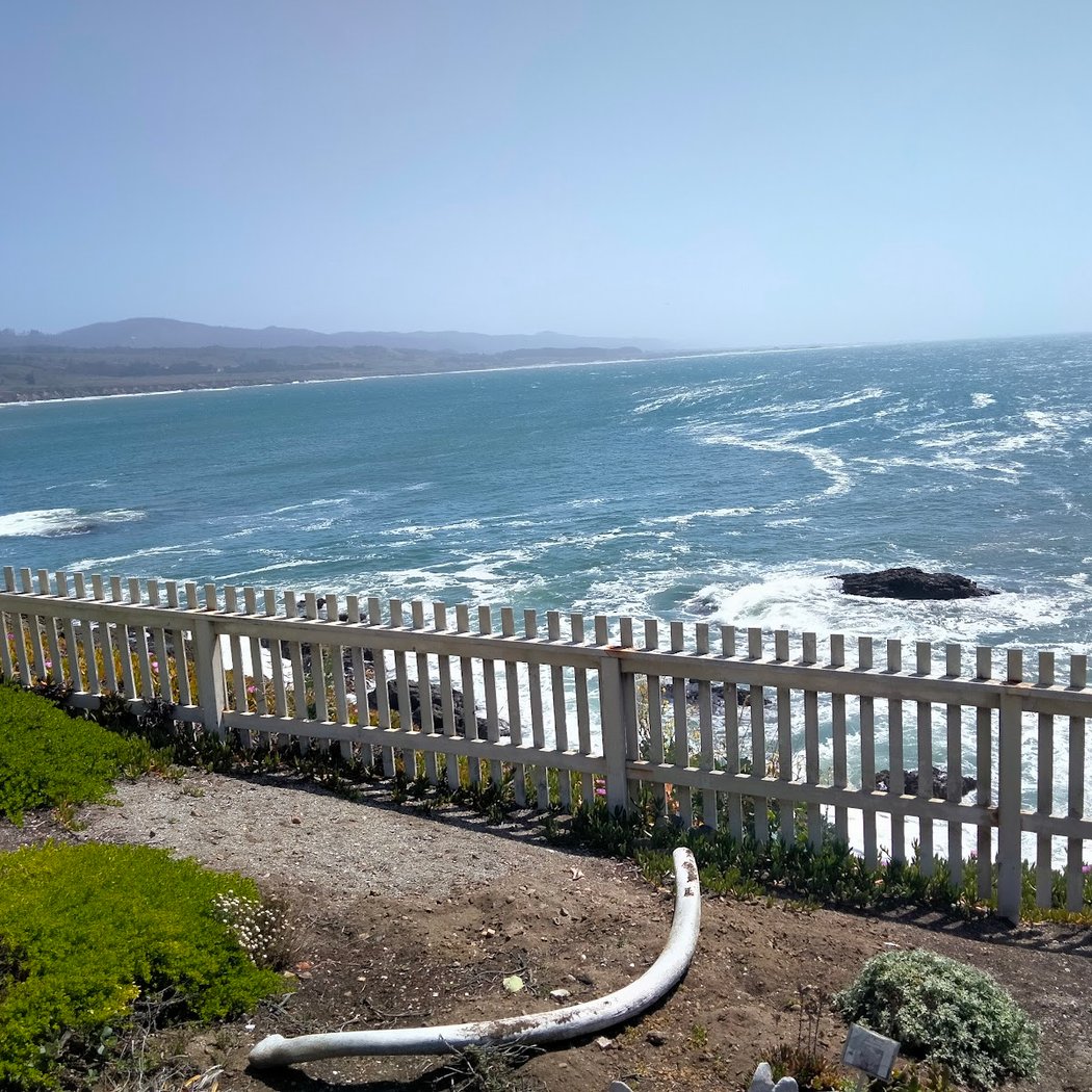 Yoga 3