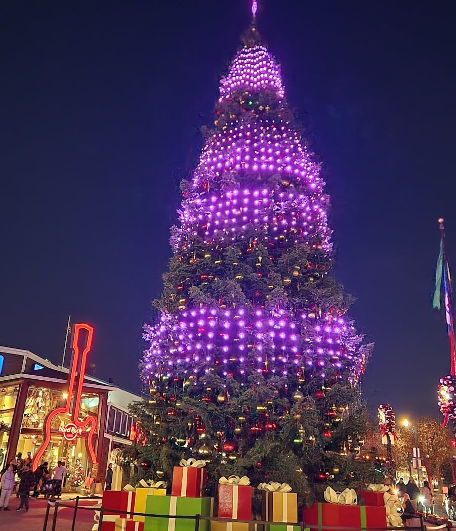 Annual Tree Lighting 1