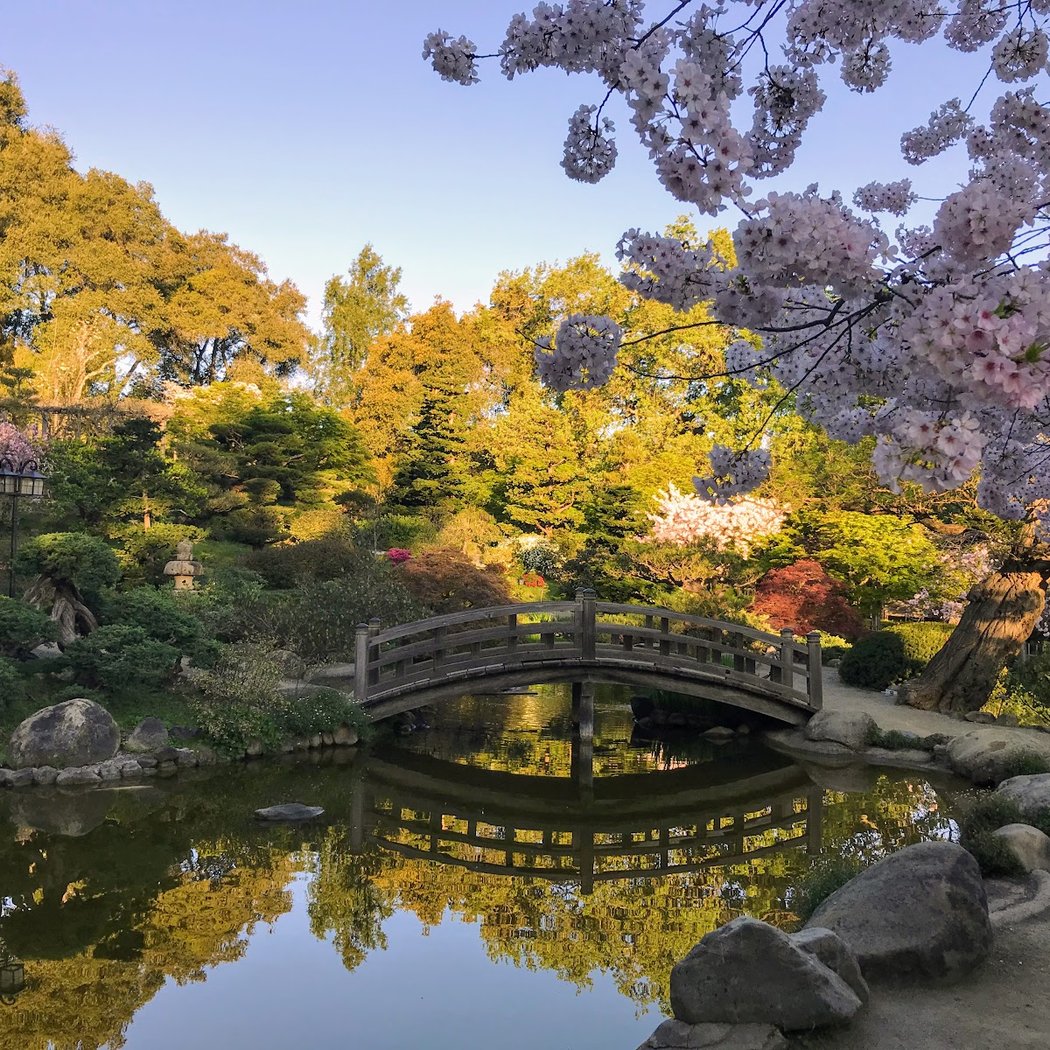 Zazen Meditation (Zazen-kai) at Hakone Gardens by Hakone Zendo 2