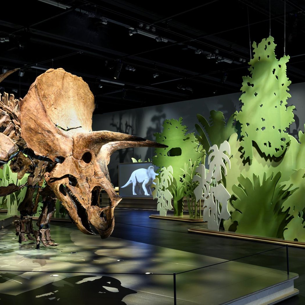 Dinosaurs After Dark 1